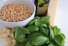 How to Grow Pine Nuts