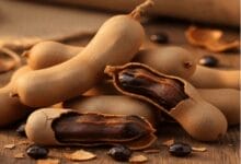 How to Grow Tamarind