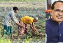 Major Agriculture Reforms Announced: Easier Fertiliser Approval, Digital Imports & AI for Farmers